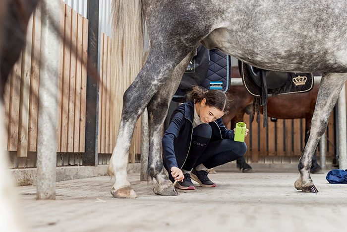 studerende på efterskole med hestelinje